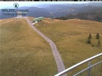 Archiv Foto Webcam Feldberg: Sesselbahn Seebuck 17:00