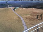 Archived image Webcam Seebuck 11:00