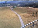Archived image Webcam Seebuck 13:00