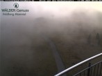 Archived image Webcam Seebuck 08:00