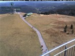 Archived image Webcam Seebuck 11:00
