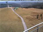 Archived image Webcam Seebuck 13:00