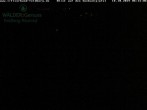 Archived image Webcam Seebuck 05:00