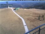 Archiv Foto Webcam Feldberg: Sesselbahn Seebuck 13:00