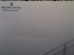 Archived image Webcam Seebuck 11:00
