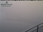Archived image Webcam Seebuck 13:00