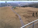 Archiv Foto Webcam Feldberg: Sesselbahn Seebuck 13:00