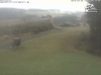 Archived image Webcam Winterberg Ski Resort: At the top of &#39;Sürenberg&#39; 07:00