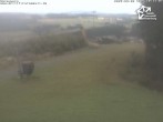 Archiv Foto Webcam Winterberg: Sesselbahn Sürenberg 09:00