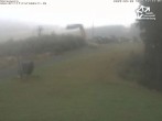 Archiv Foto Webcam Winterberg: Sesselbahn Sürenberg 11:00