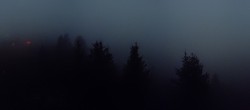 Archived image Webcam View Arosa Bear Sanctuary 23:00
