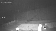 Archived image Webcam Warth: hotel Adler 23:00