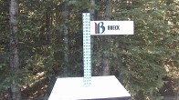 Archived image Webcam Breckenridge Snow Stake 09:00
