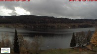 Archiv Foto Webcam Blick auf den Titisee im Schwarzwald 09:00