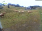 Archiv Foto Webcam Menzenschwander Hütte 09:00