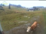 Archiv Foto Webcam Menzenschwander Hütte 11:00