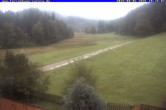 Archiv Foto Webcam Ferienhaus Carola, Hinterzarten 09:00