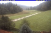 Archiv Foto Webcam Ferienhaus Carola, Hinterzarten 11:00