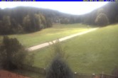 Archiv Foto Webcam Ferienhaus Carola, Hinterzarten 11:00