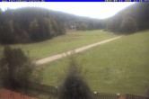 Archived image Webcam Holiday lodge Carola, Hinterzarten 11:00
