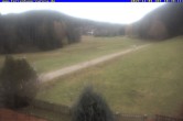 Archiv Foto Webcam Ferienhaus Carola, Hinterzarten 09:00