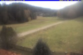 Archiv Foto Webcam Ferienhaus Carola, Hinterzarten 11:00