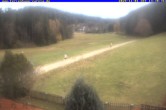 Archiv Foto Webcam Ferienhaus Carola, Hinterzarten 13:00