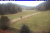 Archiv Foto Webcam Ferienhaus Carola, Hinterzarten 15:00