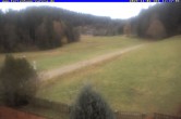 Archiv Foto Webcam Ferienhaus Carola, Hinterzarten 11:00