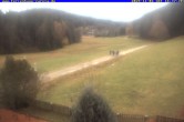 Archiv Foto Webcam Ferienhaus Carola, Hinterzarten 15:00