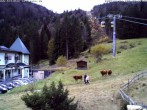 Archiv Foto Webcam Talstation Belchen 11:00