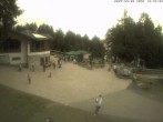 Archiv Foto Webcam Wasserkuppe: Märchenwiesenhütte 11:00