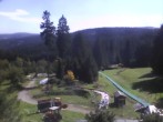 Archiv Foto Webcam Oberhof: Alte Golfwiese 11:00