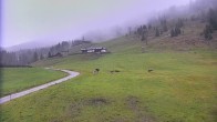 Archiv Foto Webcam Shuttleberg: Chill House Absolut Park 05:00