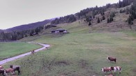 Archiv Foto Webcam Shuttleberg: Chill House Absolut Park 13:00