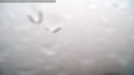 Archiv Foto Webcam Karwendelbahn: Blick Dammkar 15:00