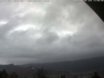 Archiv Foto Ebbs - Webcam Oberwirt 11:00