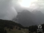 Archived image Webcam Hornbahn mountain station Hindelang 11:00