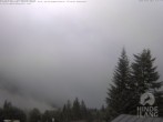 Archiv Foto Webcam Oberjoch: Blick vom Familux Resort auf die Allgäuer Hochalpen 07:00