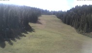 Archiv Foto Webcam FIS Abfahrt am Hauser Kaibling 11:00