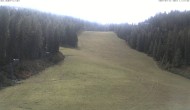 Archiv Foto Webcam FIS Abfahrt am Hauser Kaibling 13:00