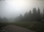 Archiv Foto Webcam Reit im Winkl: Scheibelberg auf der Winklmoosalm 11:00