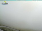 Archiv Foto Webcam Pichlerhof, Oberlappach 09:00