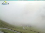 Archiv Foto Webcam Pichlerhof, Oberlappach 11:00