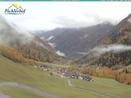 Archiv Foto Webcam Pichlerhof, Oberlappach 07:00