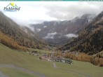 Archiv Foto Webcam Pichlerhof, Oberlappach 11:00