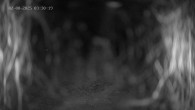 Archiv Foto Webcam Ladurns: Bergstation Wastenegg 03:00