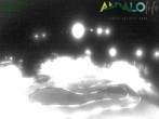 Archiv Foto Webcam Paganella: Sesselbahn La Selletta 23:00