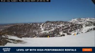 Archiv Foto Webcam Perisher: Gipfel Blue Cow 11:00
