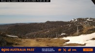 Archived image Webcam Perisher: Summit Blue Cow 03:00